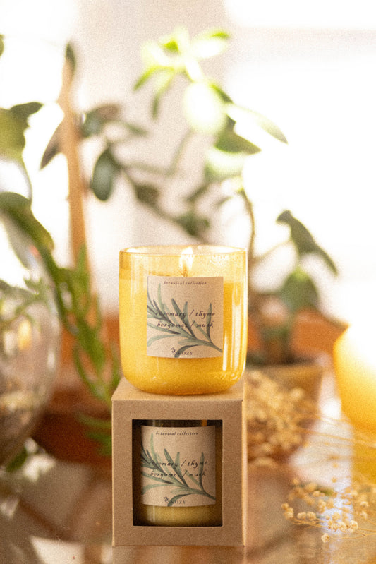 Botanical Collection / Rosemary