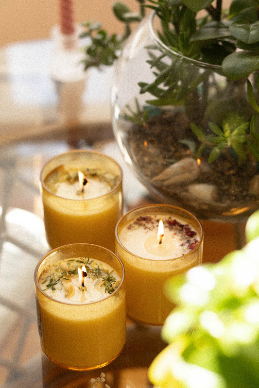 Botanical Trio Bundle