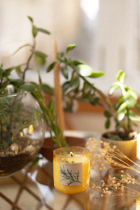 Botanical Collection / Rosemary