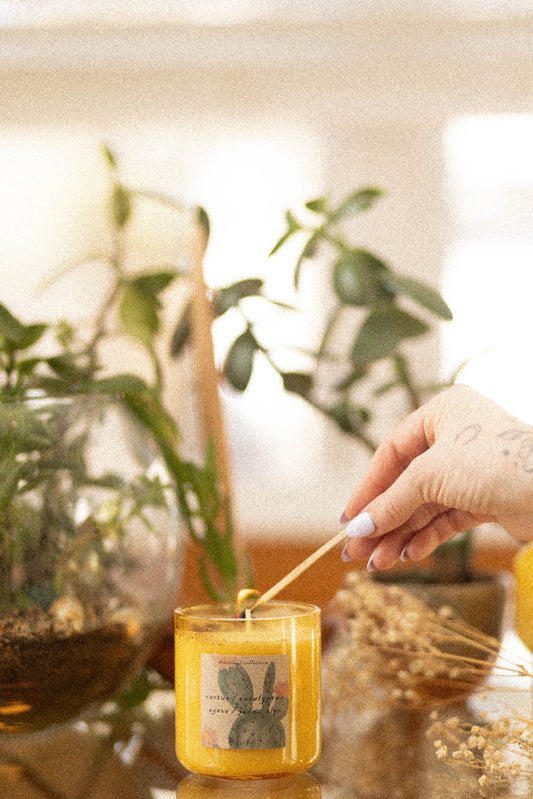 Botanical Collection / Oasis