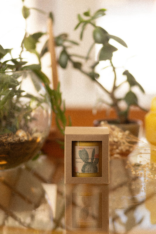 Botanical Collection / Oasis