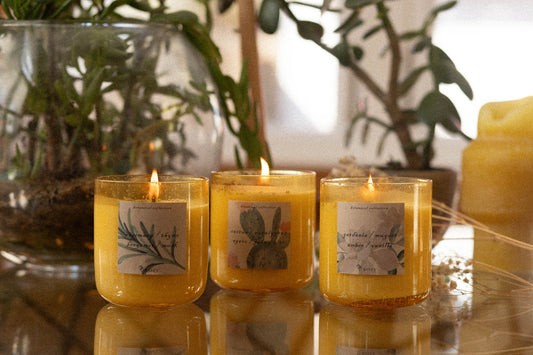 Botanical Trio Bundle